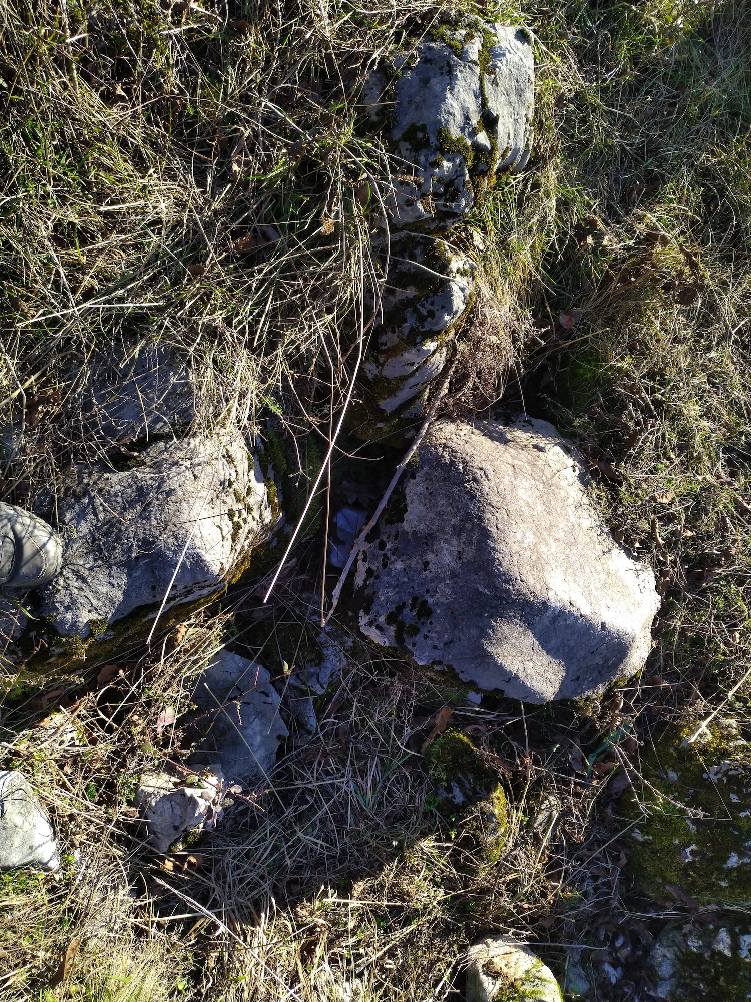 Avenul din Tufa - Image 2